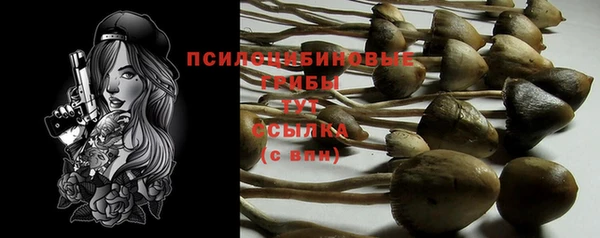 твердый Гусь-Хрустальный