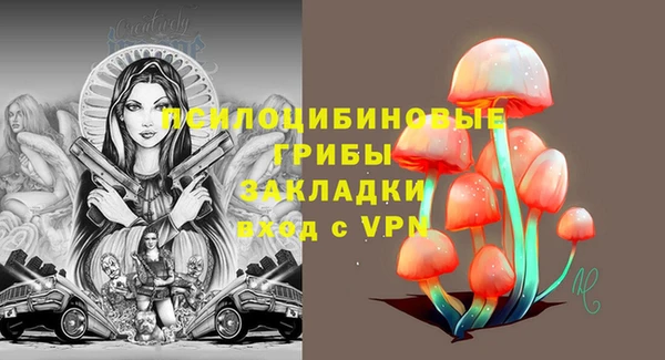 твердый Гусь-Хрустальный