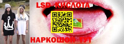шишки Гусиноозёрск