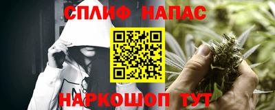 шишки Гусиноозёрск