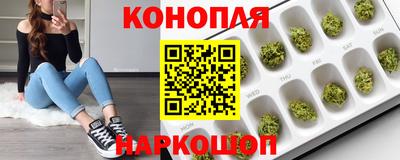 шишки Гусиноозёрск