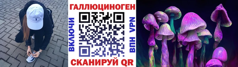 Псилоцибиновые грибы прущие грибы  Камышлов 