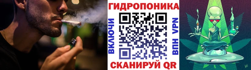 блэк спрут сайт  Камышлов  Конопля ГИДРОПОН 